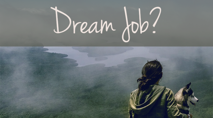 Would You Take a Pay Cut for Your Dream Job?