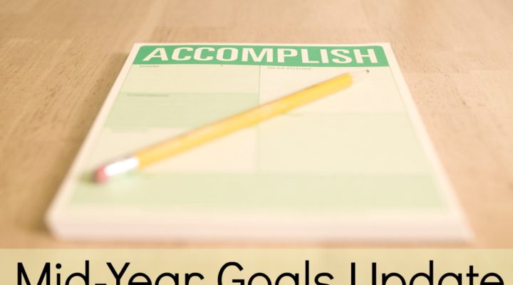 Mid-Year Goals Update: How My 2015 Goals are Shaping Up