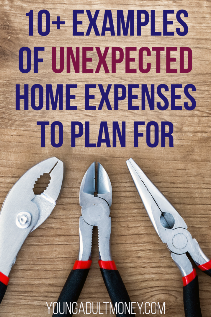 10-examples-of-unexpected-home-expenses-to-plan-for-young-adult-money